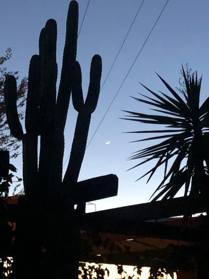 Alcalá de Guadaira La Casita Del Cactus - Casa De Campo Con Piscina מראה חיצוני תמונה