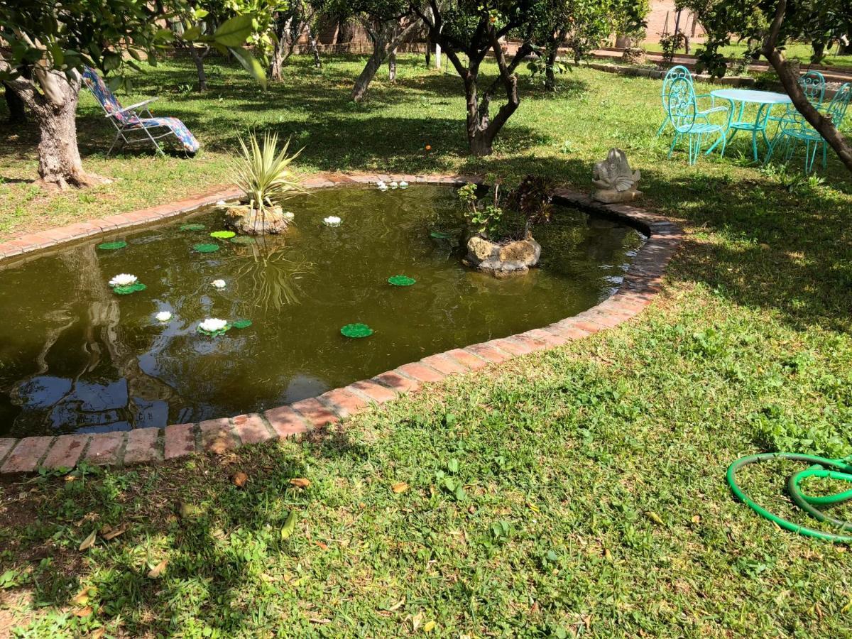 Alcalá de Guadaira La Casita Del Cactus - Casa De Campo Con Piscina מראה חיצוני תמונה