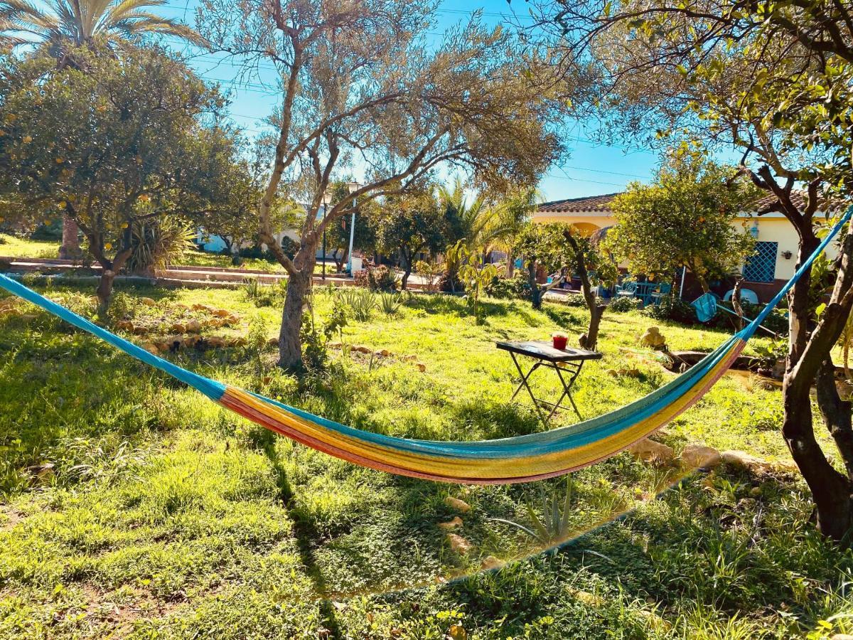 Alcalá de Guadaira La Casita Del Cactus - Casa De Campo Con Piscina מראה חיצוני תמונה