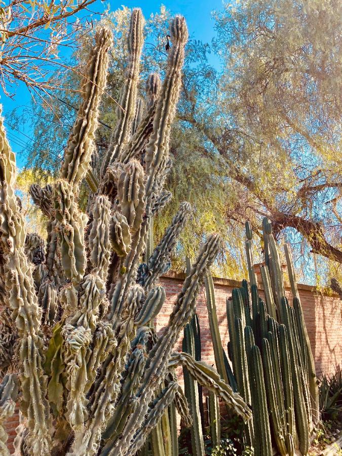 Alcalá de Guadaira La Casita Del Cactus - Casa De Campo Con Piscina מראה חיצוני תמונה